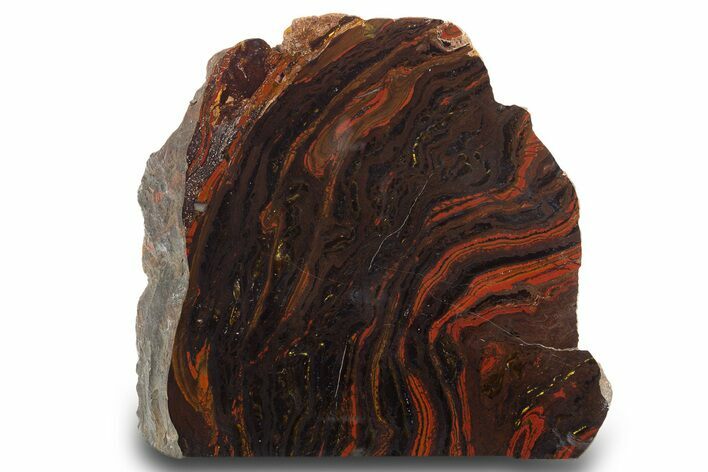 Free-Standing Polished Tiger Iron Stromatolite - Ga #308151